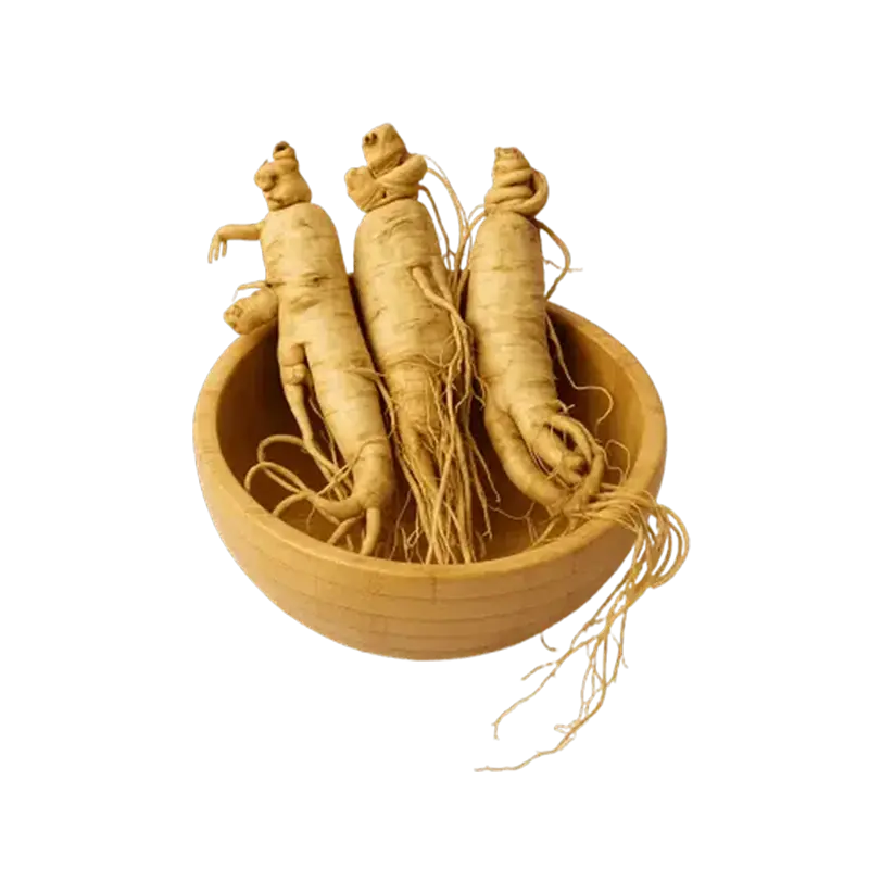 عکس سه ریشه جنسینگ در کاسخه چوبی