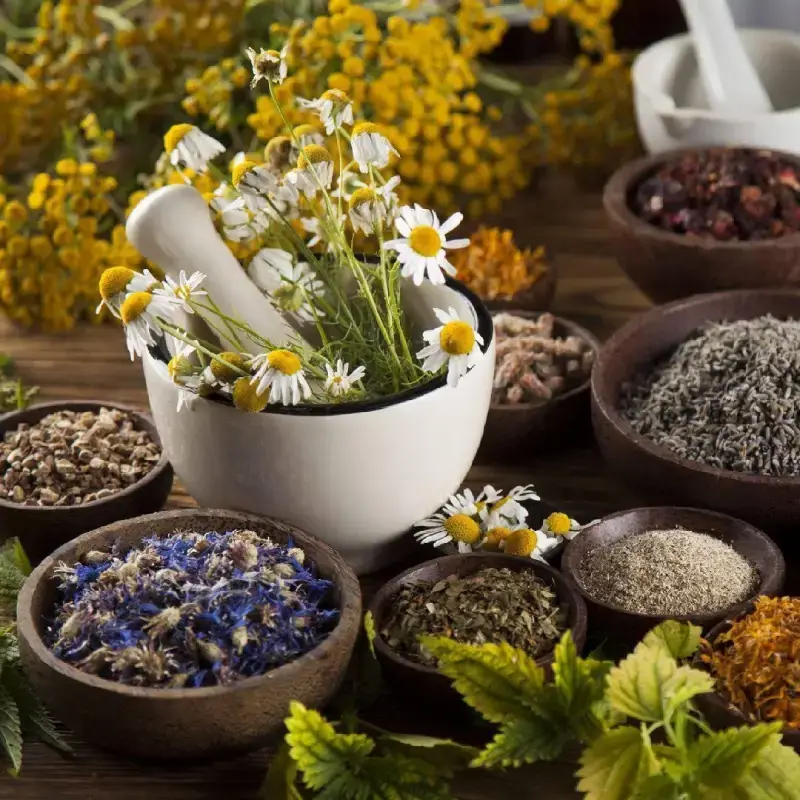 تصویر گیاهان دارویی چند گیاه دارویی در کاسه های چوبی و یک هاون با گل بابونه در آن